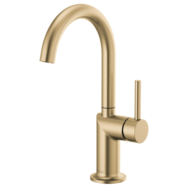 Brizo Odin Bar Faucet with Arc Spout - Less Handle - 61075LF-LHP