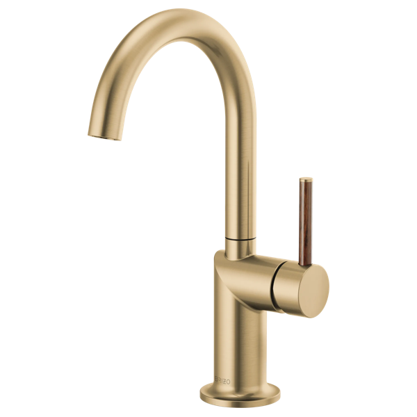 Brizo Odin Bar Faucet with Arc Spout - Less Handle - 61075LF-LHP
