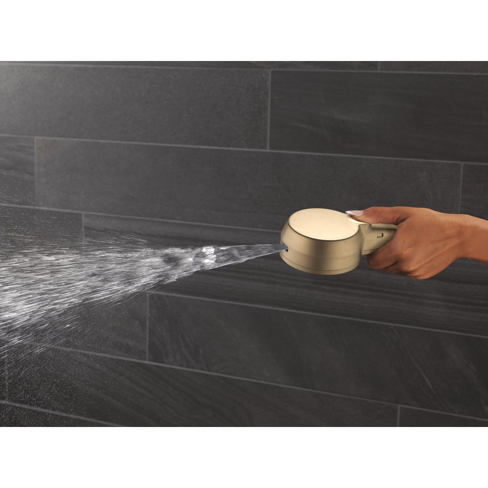 Delta 5-Setting In2ition 2-In-1 Shower Head with ProClean - 75548