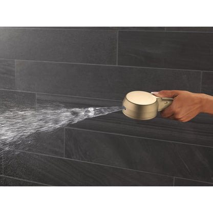 Delta 5-Setting In2ition 2-In-1 Shower Head with ProClean - 75548