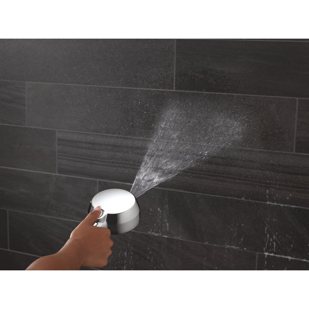 Delta 5-Setting In2ition 2-In-1 Shower Head with ProClean - 75548