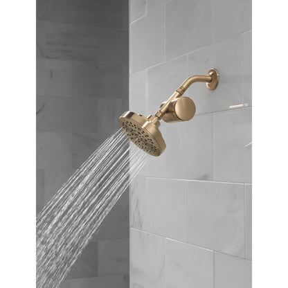 Delta Clarifi Standard Shower Filter Attachment - 7SF100