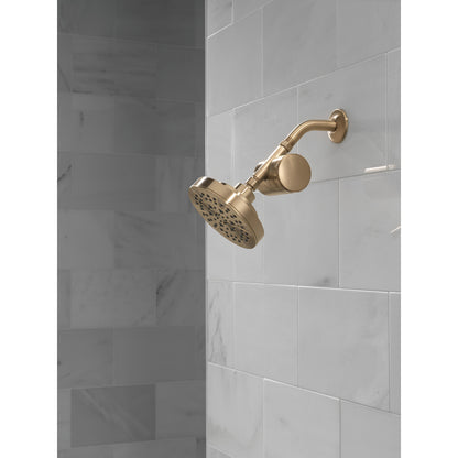 Delta Clarifi Standard Shower Filter Attachment - 7SF100