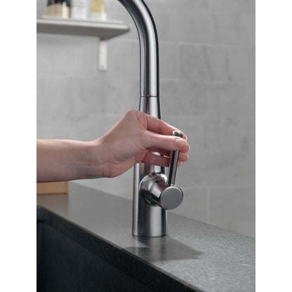 Delta Essa Single Handle Pull-Down Kitchen Faucet - 9113