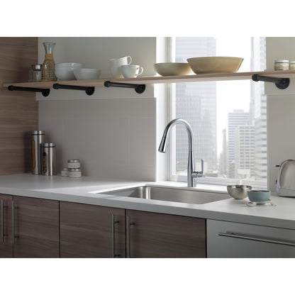 Delta Essa Single Handle Pull-Down Kitchen Faucet - 9113