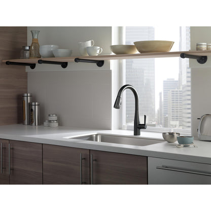 Delta Essa Single Handle Pull-Down Kitchen Faucet - 9113