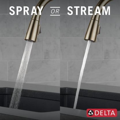 Delta Essa Single Handle Pull-Down Kitchen Faucet - 9113