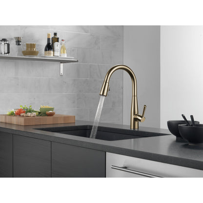 Delta Essa Single Handle Pull-Down Kitchen Faucet - 9113