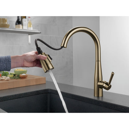 Delta Essa Single Handle Pull-Down Kitchen Faucet - 9113