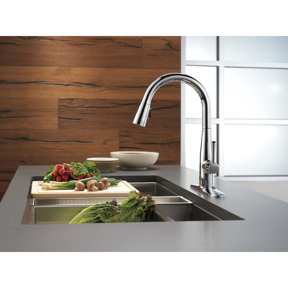 Delta Essa Single Handle Pull-Down Kitchen Faucet - 9113