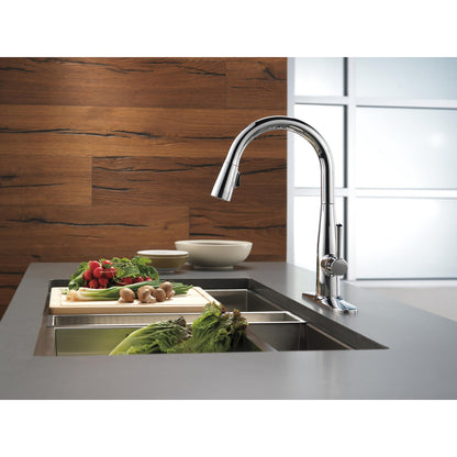 Delta Essa Single Handle Pull-Down Kitchen Faucet - 9113