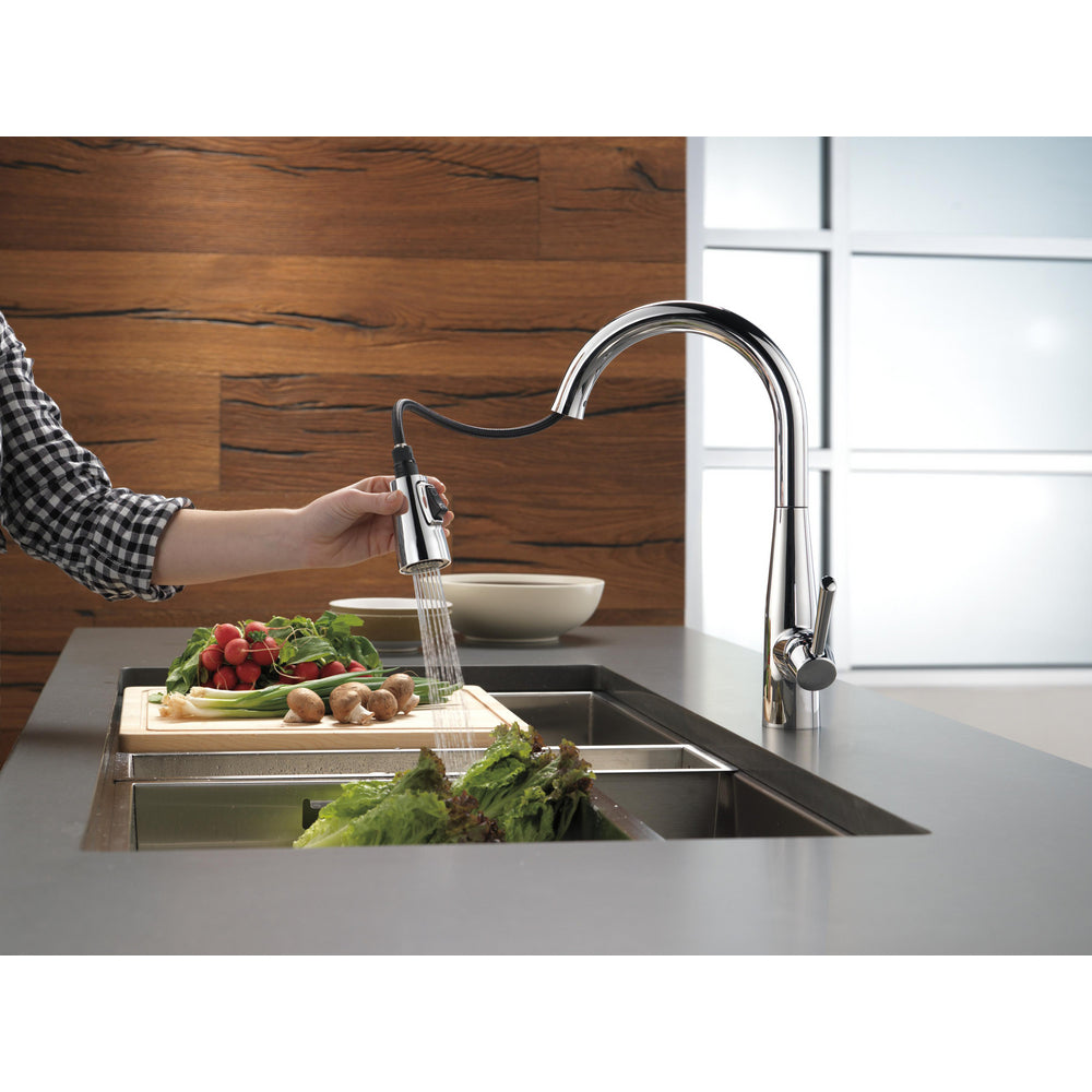 Delta Essa Single Handle Pull-Down Kitchen Faucet - 9113