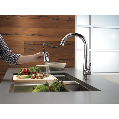 Delta Essa Single Handle Pull-Down Kitchen Faucet - 9113