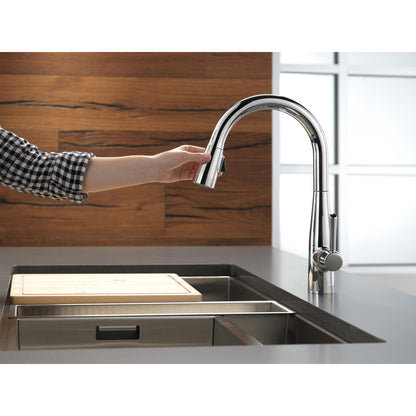 Delta Essa Single Handle Pull-Down Kitchen Faucet - 9113