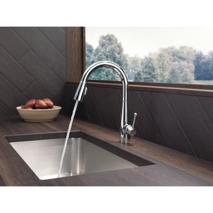 Delta Essa Single Handle Pull-Down Kitchen Faucet - 9113