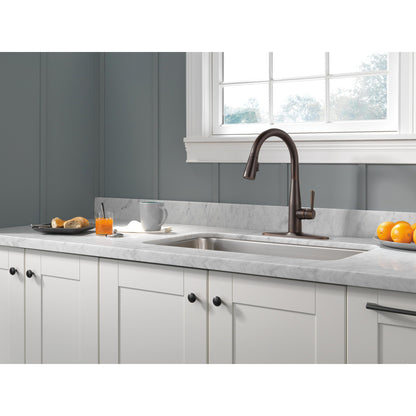 Delta Essa Single Handle Pull-Down Kitchen Faucet - 9113
