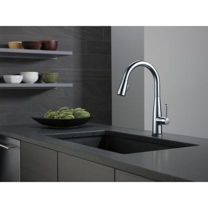 Delta Essa Single Handle Pull-Down Kitchen Faucet with Touch2O Technology - 9113T