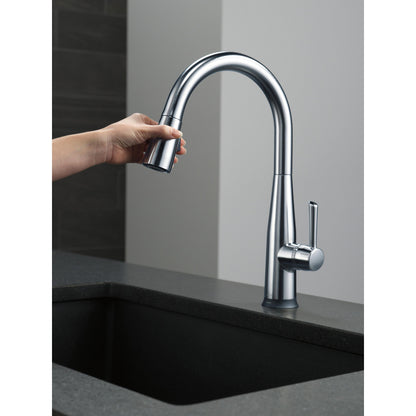 Delta Essa Single Handle Pull-Down Kitchen Faucet with Touch2O Technology - 9113T