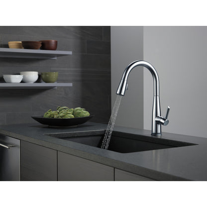 Delta Essa Single Handle Pull-Down Kitchen Faucet with Touch2O Technology - 9113T