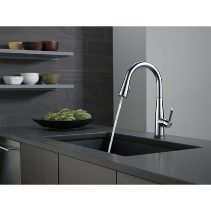 Delta Essa Single Handle Pull-Down Kitchen Faucet with Touch2O Technology - 9113T