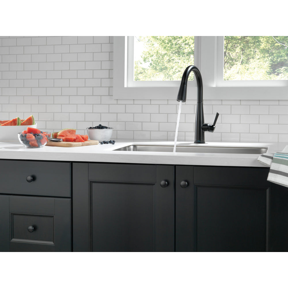 Delta Essa Single Handle Pull-Down Kitchen Faucet with Touch2O Technology - 9113T