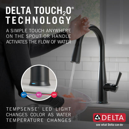 Delta Essa Single Handle Pull-Down Kitchen Faucet with Touch2O Technology - 9113T