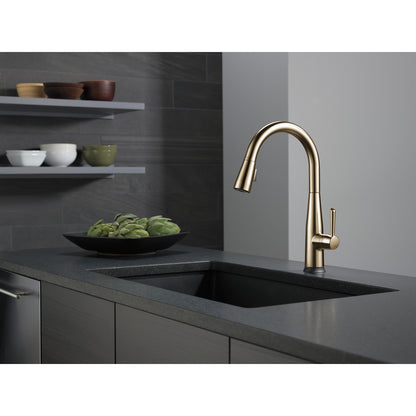 Delta Essa Single Handle Pull-Down Kitchen Faucet with Touch2O Technology - 9113T