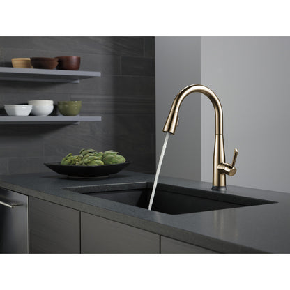 Delta Essa Single Handle Pull-Down Kitchen Faucet with Touch2O Technology - 9113T