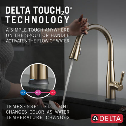 Delta Essa Single Handle Pull-Down Kitchen Faucet with Touch2O Technology - 9113T