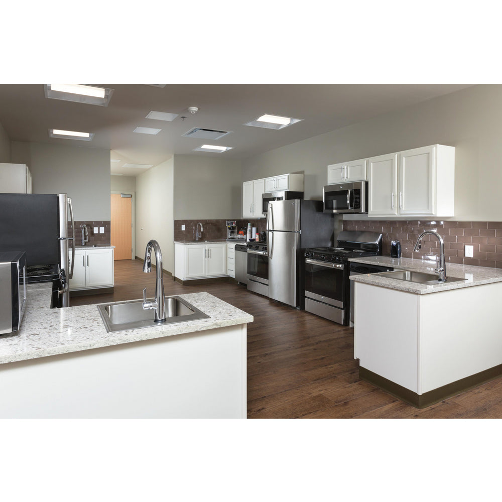 Delta Essa Single Handle Pull-Down Kitchen Faucet with Touch2O Technology - 9113T