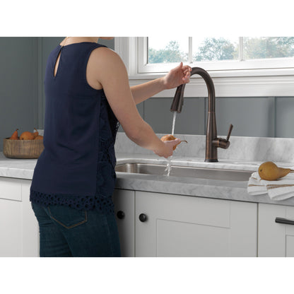 Delta Essa Single Handle Pull-Down Kitchen Faucet with Touch2O Technology - 9113T