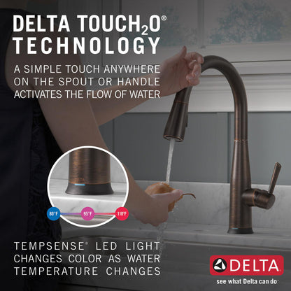 Delta Essa Single Handle Pull-Down Kitchen Faucet with Touch2O Technology - 9113T