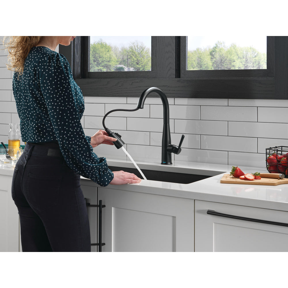 Delta Essa VoiceIQ Single Handle Pull-Down Faucet with Touch2O Technology - 9113TLV