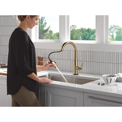 Delta Essa VoiceIQ Single Handle Pull-Down Faucet with Touch2O Technology - 9113TLV