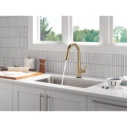 Delta Essa VoiceIQ Single Handle Pull-Down Faucet with Touch2O Technology - 9113TLV