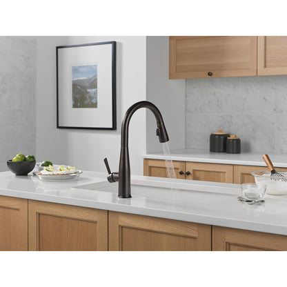 Delta Essa VoiceIQ Single Handle Pull-Down Faucet with Touch2O Technology - 9113TLV