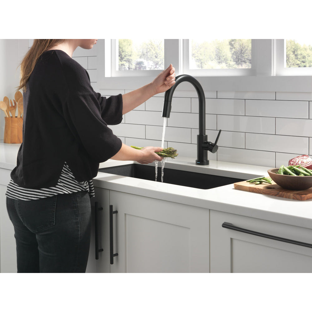 Delta Trinsic Single Handle Pull-Down Kitchen Faucet with Touch2O Technology - 9159T