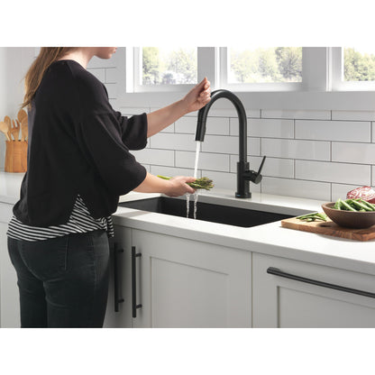 Delta Trinsic Single Handle Pull-Down Kitchen Faucet with Touch2O Technology - 9159T