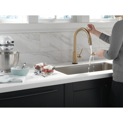 Delta Trinsic Single Handle Pull-Down Kitchen Faucet with Touch2O Technology - 9159T