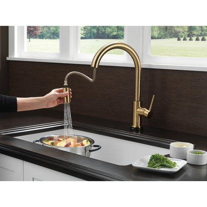 Delta Trinsic Single Handle Pull-Down Kitchen Faucet with Touch2O Technology - 9159T