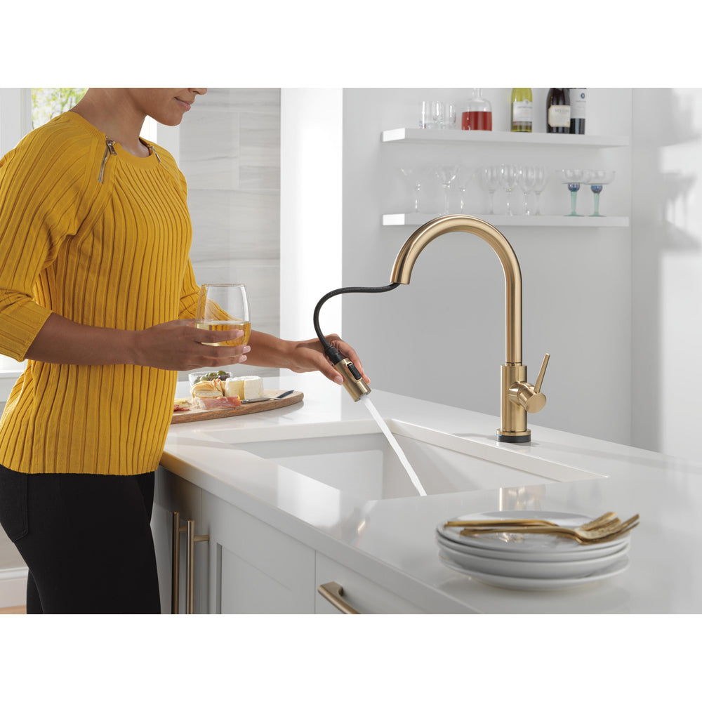 Delta Trinsic Touch2O Technology Kitchen Faucet with Touchless Technology - 9159TL