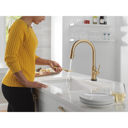 Delta Trinsic Touch2O Technology Kitchen Faucet with Touchless Technology - 9159TL