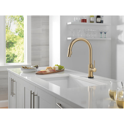 Delta Trinsic Touch2O Technology Kitchen Faucet with Touchless Technology - 9159TL