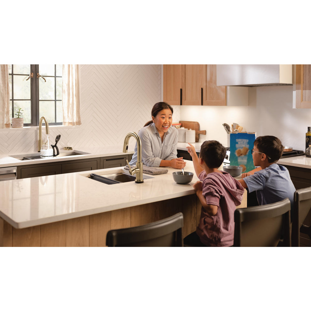 Delta Trinsic VoiceIQ Kitchen Faucet with Touch2O Technology with Touchless Technology - 9159TLV