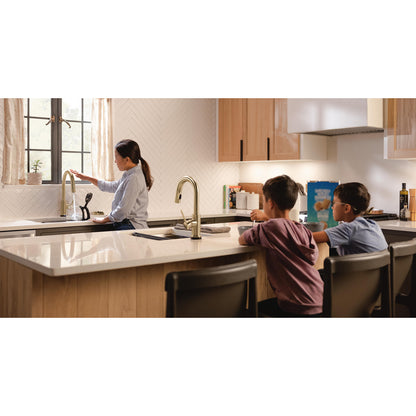 Delta Trinsic VoiceIQ Kitchen Faucet with Touch2O Technology with Touchless Technology - 9159TLV