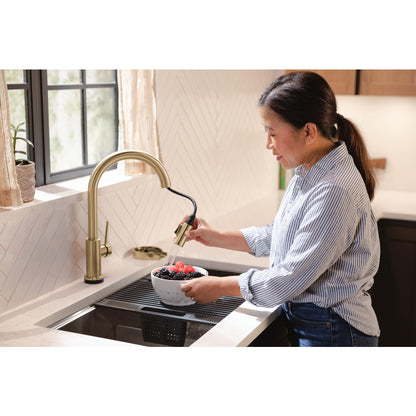 Delta Trinsic VoiceIQ Kitchen Faucet with Touch2O Technology with Touchless Technology - 9159TLV