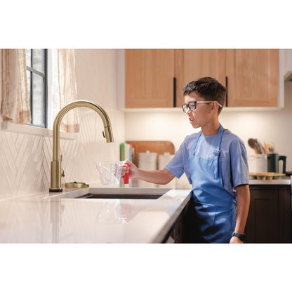 Delta Trinsic VoiceIQ Kitchen Faucet with Touch2O Technology with Touchless Technology - 9159TLV