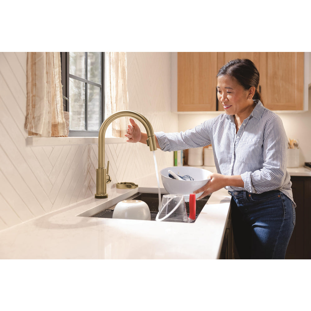 Delta Trinsic VoiceIQ Kitchen Faucet with Touch2O Technology with Touchless Technology - 9159TLV