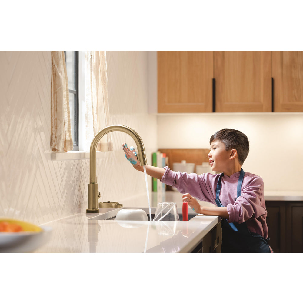 Delta Trinsic VoiceIQ Kitchen Faucet with Touch2O Technology with Touchless Technology - 9159TLV