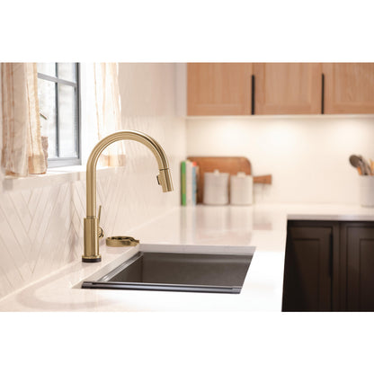 Delta Trinsic VoiceIQ Kitchen Faucet with Touch2O Technology with Touchless Technology - 9159TLV